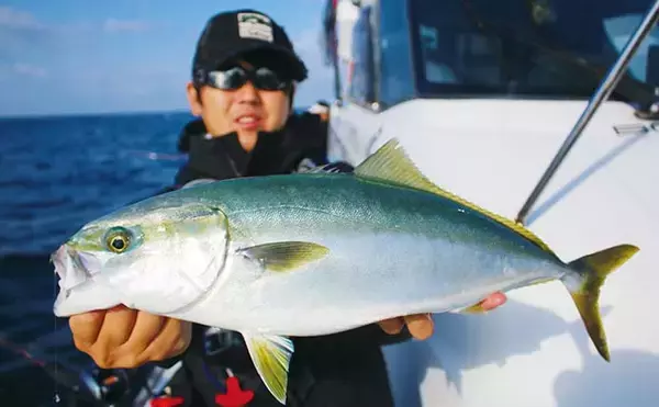 「東海・北陸地方のタテ釣り（落とし込み）入門 【エリア・シーズン・釣れる魚・タックル・釣り方を解説】」の画像