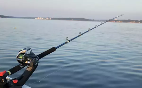 「東海・北陸地方のタテ釣り（落とし込み）入門 【エリア・シーズン・釣れる魚・タックル・釣り方を解説】」の画像