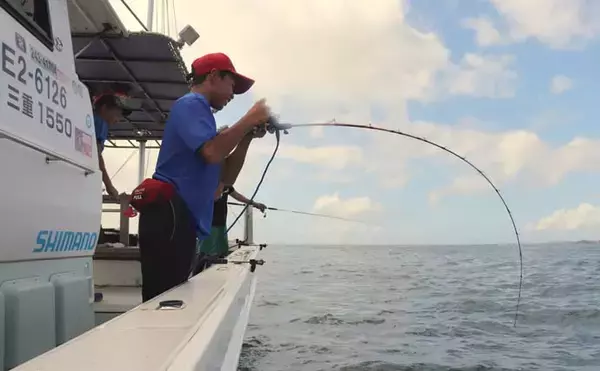 「東海・北陸地方のタテ釣り（落とし込み）入門 【エリア・シーズン・釣れる魚・タックル・釣り方を解説】」の画像