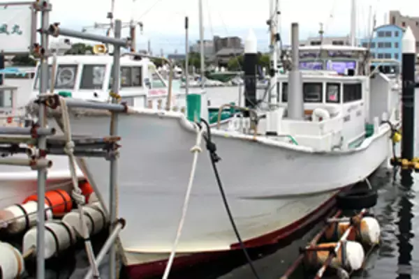 「関西エリアの【船釣り特選釣果】ジギングでサワラ混じりに良型ブリ族が好反応！」の画像