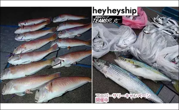 「関西エリアの【船釣り特選釣果】ジギングでサワラ混じりに良型ブリ族が好反応！」の画像