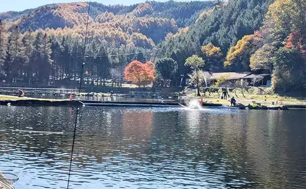 「平谷湖フィッシングスポットのエリアトラウトでニジマス19匹手中【長野】クランクのデッドスローが鍵に」の画像