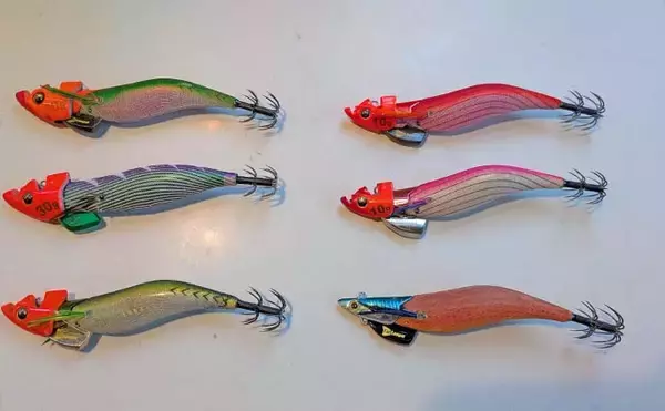 「ティップランで1.4kg頭にアオリイカ船中9匹キャッチ【三重】ヒットカラー見極めが釣果に繋がる」の画像