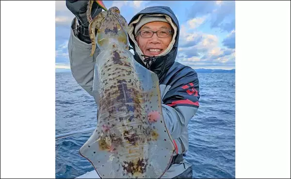 「ティップランで1.4kg頭にアオリイカ船中9匹キャッチ【三重】ヒットカラー見極めが釣果に繋がる」の画像