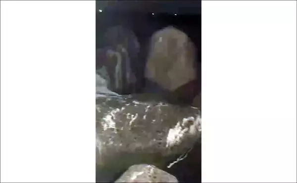 「雪中ボートロックゲームでカサゴと対面【三重】シャッドテールワームにヒット」の画像