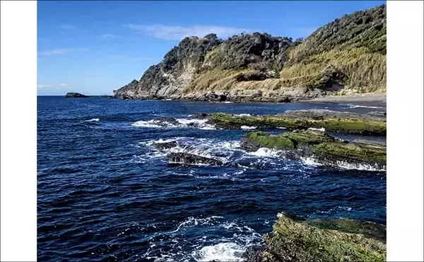 「磯フカセ釣りで35cm頭にクロダイ10尾手中【千葉・富浦】好潮流とエサ取りの少なさが追い風」の画像