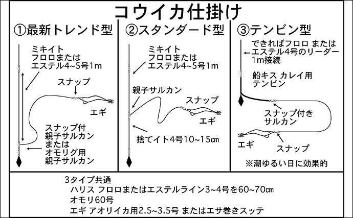 伊良湖沖22 船コウイカエギング入門 道具 仕掛け 釣り方を解説 22年2月10日 エキサイトニュース 2 6