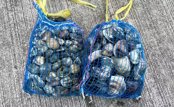 潮干狩り＆花見デート満喫　効率的な探し方発見でアサリにハマグリ大漁