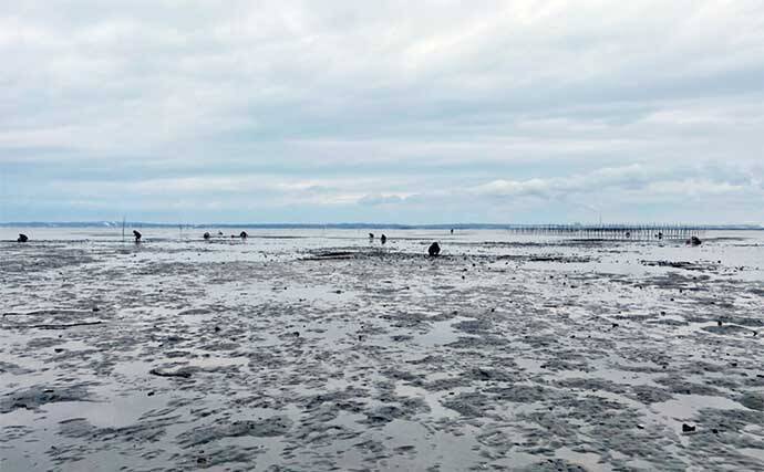 潮干狩り＆花見デート満喫　効率的な探し方発見でアサリにハマグリ大漁