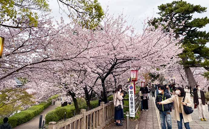 潮干狩り＆花見デート満喫　効率的な探し方発見でアサリにハマグリ大漁
