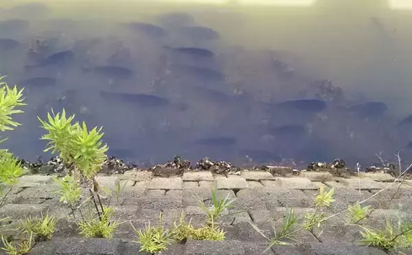 ルアーフィッシングでのスランプ脱出方法ベスト5　ベテランほど危険？