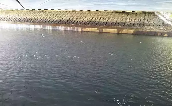 「ルアーフィッシングでのスランプ脱出方法ベスト5　ベテランほど危険？」の画像