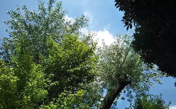 「ルアーフィッシングでのスランプ脱出方法ベスト5　ベテランほど危険？」の画像