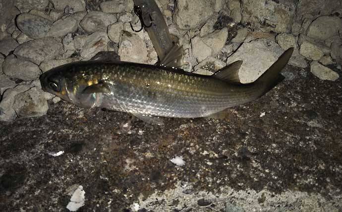 ルアーフィッシングでのスランプ脱出方法ベスト5　ベテランほど危険？