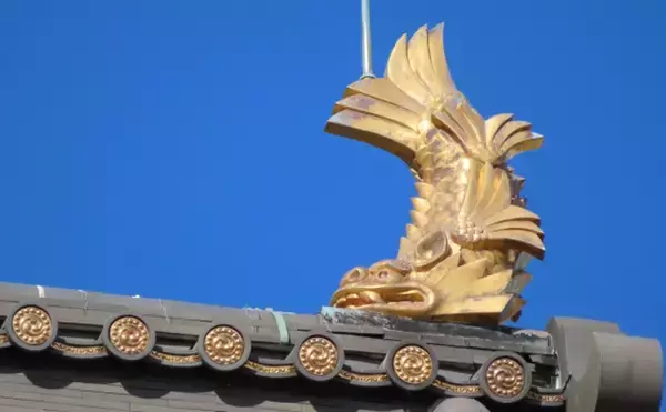 「シャチでもブリでもない謎の深海魚『シャチブリ』を食べてみた　無限ヌルヌルに大苦戦」の画像