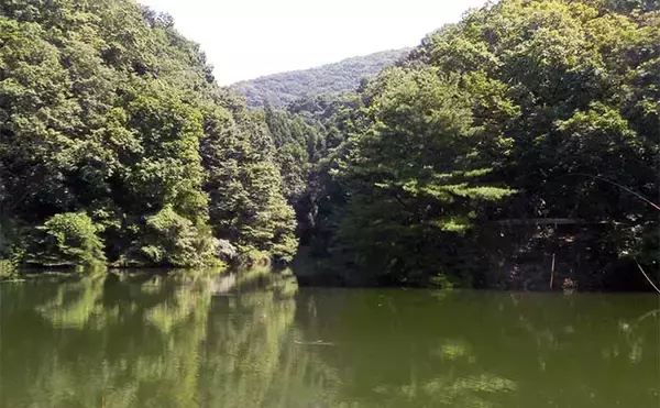 「今週のヘラブナ推薦釣り場2024【埼玉・円良田湖】」の画像