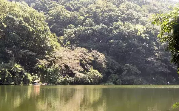 「今週のヘラブナ推薦釣り場2024【埼玉・円良田湖】」の画像