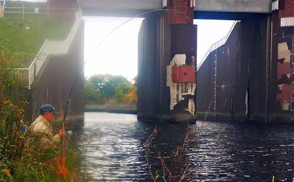 「「メーター超え獲った！」荒川で101cmハクレンをキャッチ【埼玉】豆ボラ地獄を攻略」の画像