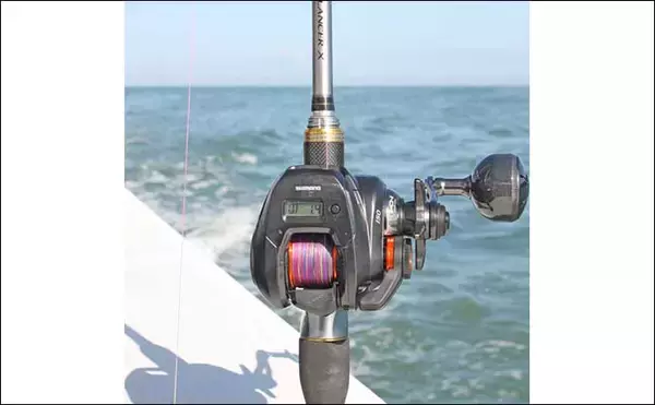 「「暗いうちがチャンス」大原沖ショウサイフグ釣りは朝マズメが狙いめ【千葉・春日丸】」の画像