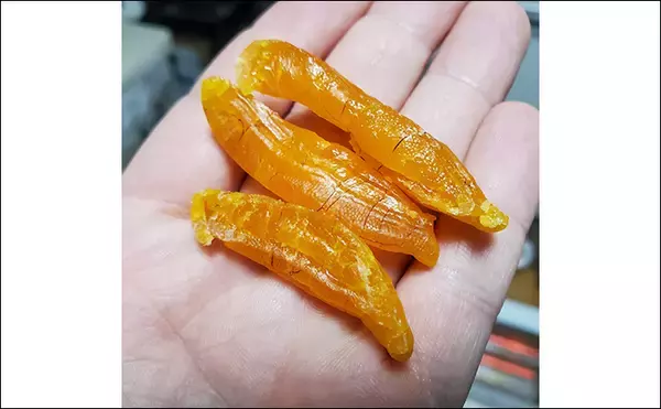 「美味だけどマニアック過ぎる魚の部位　シャコの爪・ハゼの卵・カマスの腸」の画像