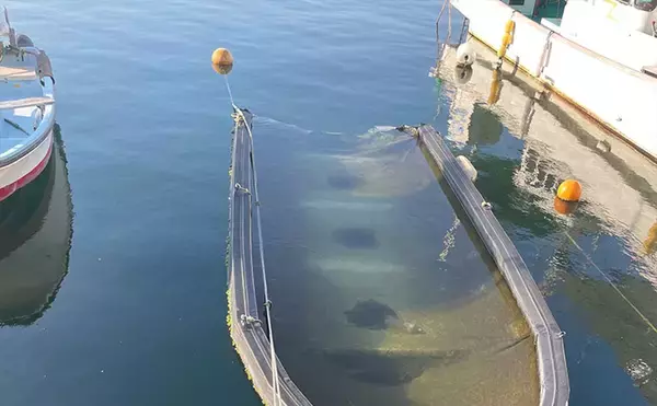 「「釣れなくても釣り場に行くことは美しい！」　釣り好きは”無駄”が好き？」の画像