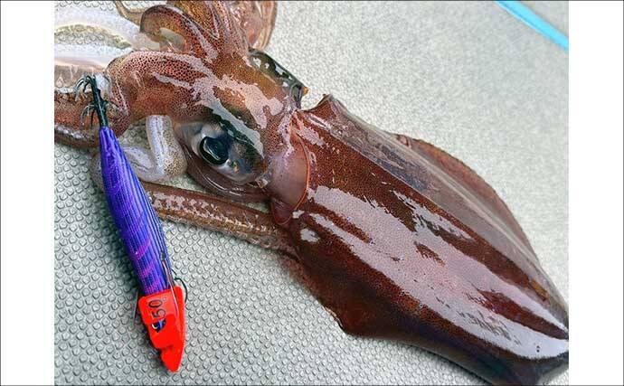 沖縄ティップラン遠征で無限連鎖！　船中15杯の好釣果に大興奮【沖縄】
