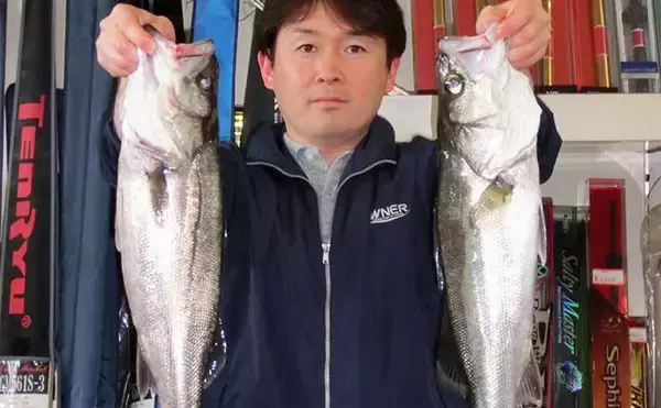 【2022年】上りマダカ釣り入門　釣り場・タックル・エサ・釣り方を解説