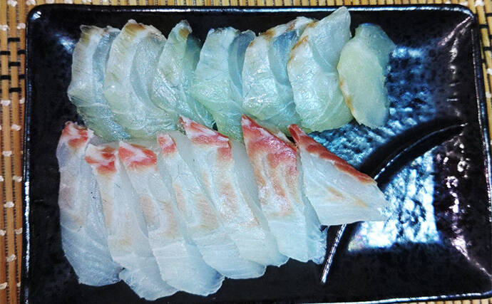 「遠投カゴ釣りデビューしてみた！」2回目の堤防釣行で37cmイサキをキャッチ【和歌山】