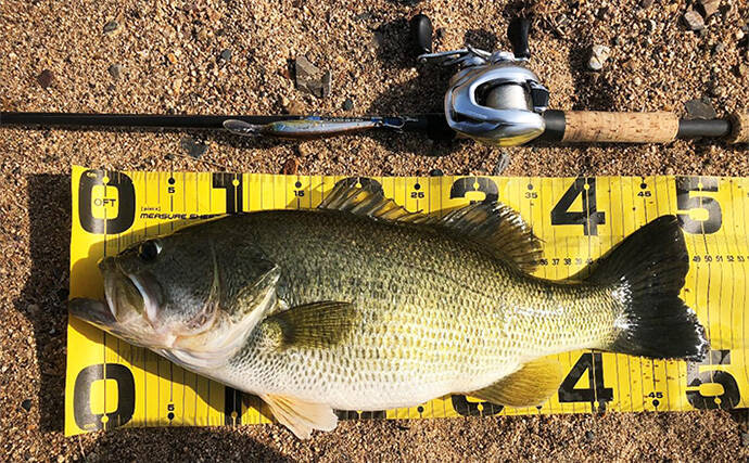 バス釣りのロッドがフォアグリップレス構造になっている理由　長所と短所は？