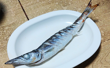 釣魚で作る「シンプル」レシピ：カマスの素焼き（白焼き）　素材の味活かす