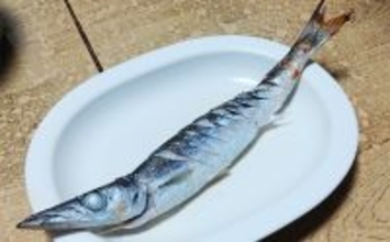 釣魚で作る「シンプル」レシピ：カマスの素焼き（白焼き）　素材の味活かす