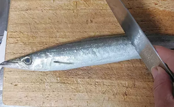 「釣魚で作る「シンプル」レシピ：カマスの素焼き（白焼き）　素材の味活かす」の画像