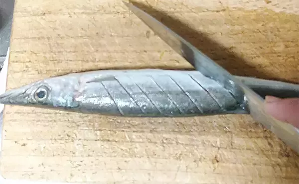 「釣魚で作る「シンプル」レシピ：カマスの素焼き（白焼き）　素材の味活かす」の画像