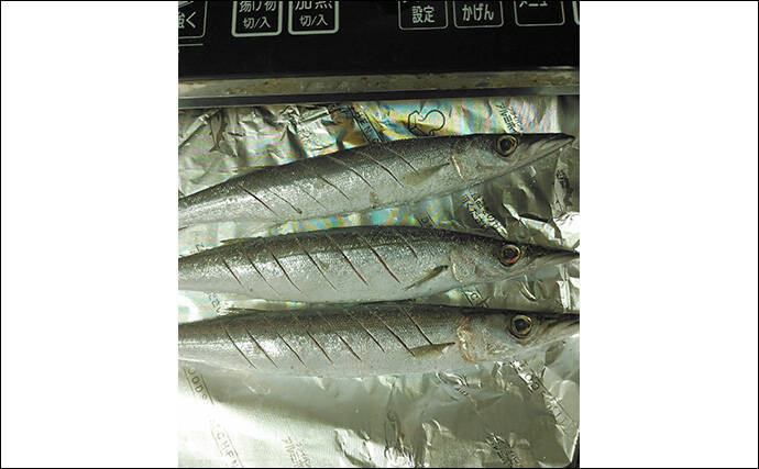 釣魚で作る「シンプル」レシピ：カマスの素焼き（白焼き）　素材の味活かす