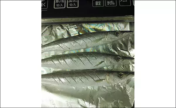 「釣魚で作る「シンプル」レシピ：カマスの素焼き（白焼き）　素材の味活かす」の画像