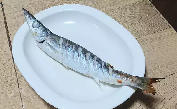 「釣魚で作る「シンプル」レシピ：カマスの素焼き（白焼き）　素材の味活かす」の画像
