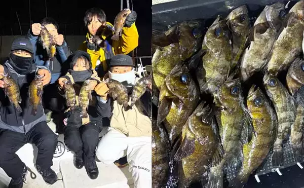 「【沖のルアー釣果速報】ナイトロックでメバル数釣りに成功！良型交じりで冬の根魚ゲーム満喫（愛知）」の画像