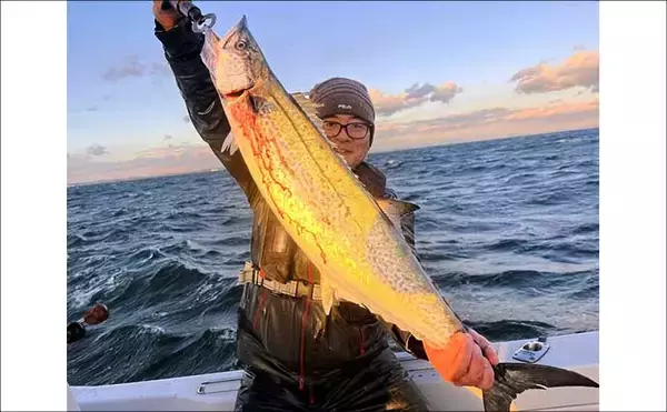 「【沖のルアー釣果速報】ナイトロックでメバル数釣りに成功！良型交じりで冬の根魚ゲーム満喫（愛知）」の画像