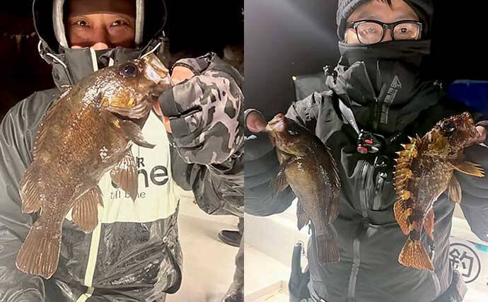 【沖のルアー釣果速報】ナイトロックでメバル数釣りに成功！良型交じりで冬の根魚ゲーム満喫（愛知）