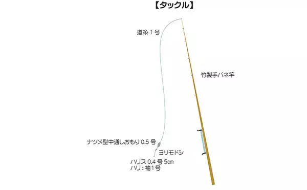 「江戸川放水路で越冬ハゼ（ヒネハゼ）釣り開幕【たかはし遊船】マハゼ127匹と大漁！」の画像