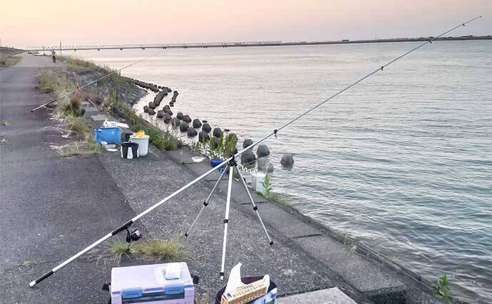 夜のブッコミ釣りで本命ウナギ手中【愛知・木曽川】近距離ポイントでヒット