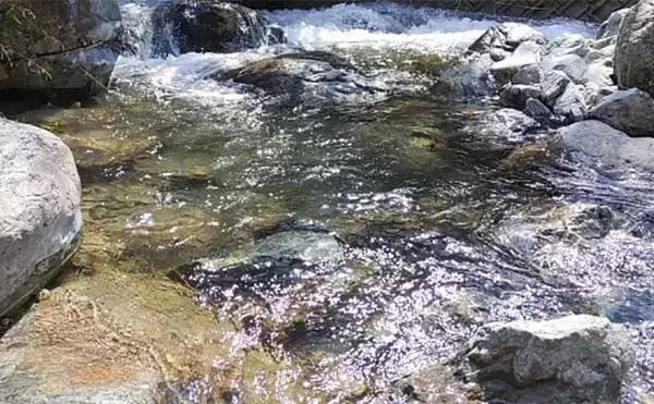 「渓流エサ釣りで使用する延べ竿（ノベザオ）の選び方 【長さ・調子・スペック】を詳しく解説」の画像