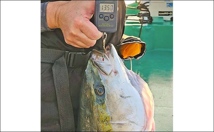 「重量級青物戦！」娘と挑んだカセ落とし込み釣りで13.5kgメタボブリ好捕【和歌山・串本】