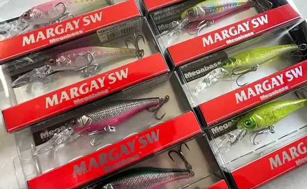 「現役船長が解説する初めてのボートシーバス釣り　服装・道具・釣り方」の画像