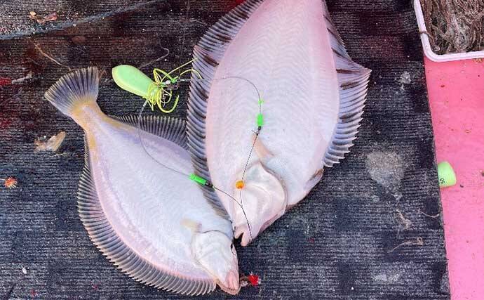 初冬の知床で船釣り堪能　カレイ・マダラ・ホッケで大型クーラー満タン