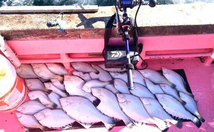 初冬の知床で船釣り堪能　カレイ・マダラ・ホッケで大型クーラー満タン