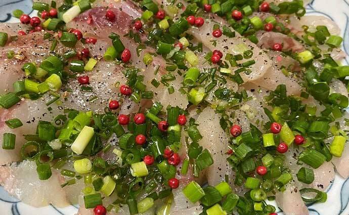 初冬の知床で船釣り堪能　カレイ・マダラ・ホッケで大型クーラー満タン