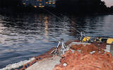 「アナゴの「ブッコミ釣り」入門解説　釣れる時合いは日没から2時間程度」の画像7