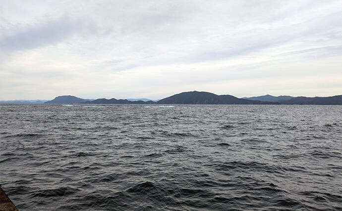 爆風の日本海エギングでアオリイカ5杯【福井】底ベタ徹底攻略で繊細アタリを拾う