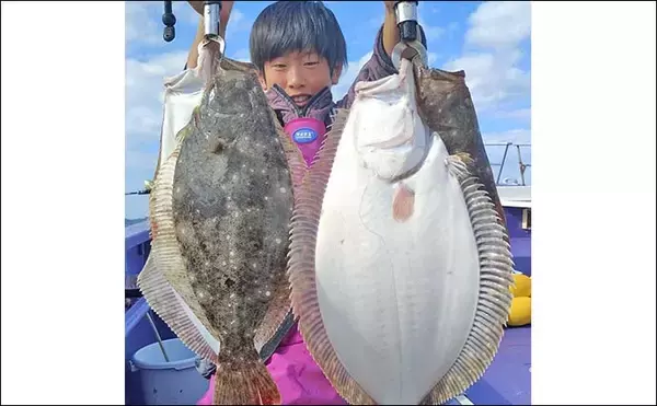 「「ヒラメ3kg級が次々浮上！」大原沖の泳がせ釣りで船中26尾の爆釣劇【千葉】」の画像